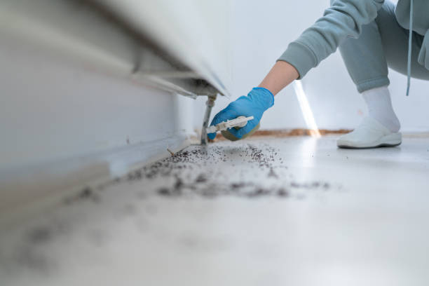 Best Ant Control Services  in Boonville, IN